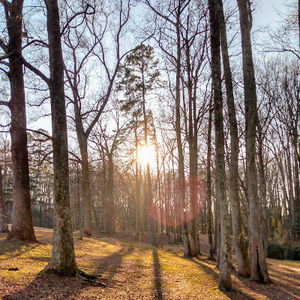 Meet your Posher, Abigail